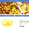 5D DIY Diamond Painting Kit for Adults – 12x16 Inch Full Drill Paint by Numbers, Yellow Butterfly Wall Art for Home Decor, Beginners & Hobbyists